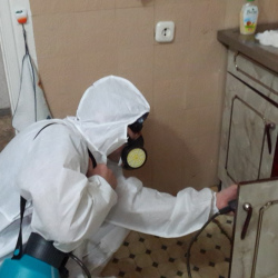Дезинфекция от муравьев в квартире в Яропольце