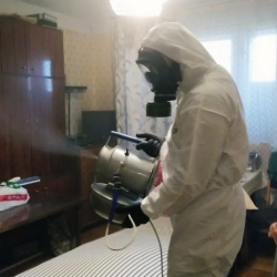 Дезинфекция от клопов в Яропольце