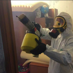 Уничтожение клопов в квартире. Ярополец